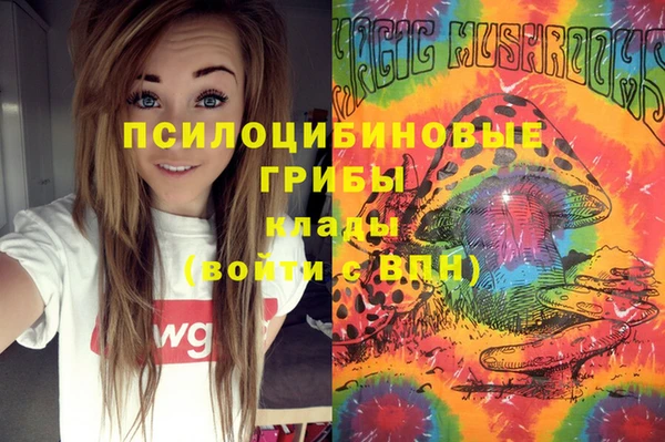МДМА Горняк