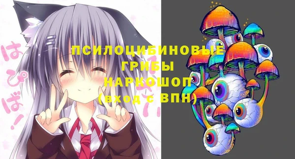 эйфоретик Горнозаводск