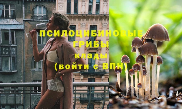 МДМА Горняк